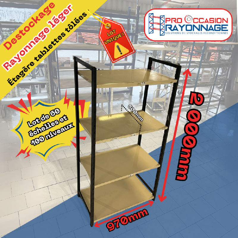 Rayonnage léger – Lot unique de 60 échelles et 100 niveaux tôlés - Image 1