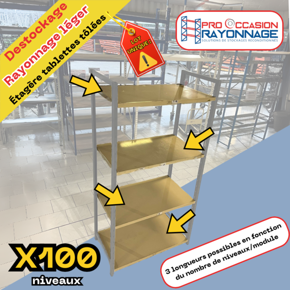 Rayonnage léger – Lot unique de 60 échelles et 100 niveaux tôlés – Capacité 150 kg par niveau – Dimensions 2000x970x600 mm - Image 4
