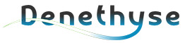 Logo Denethyse