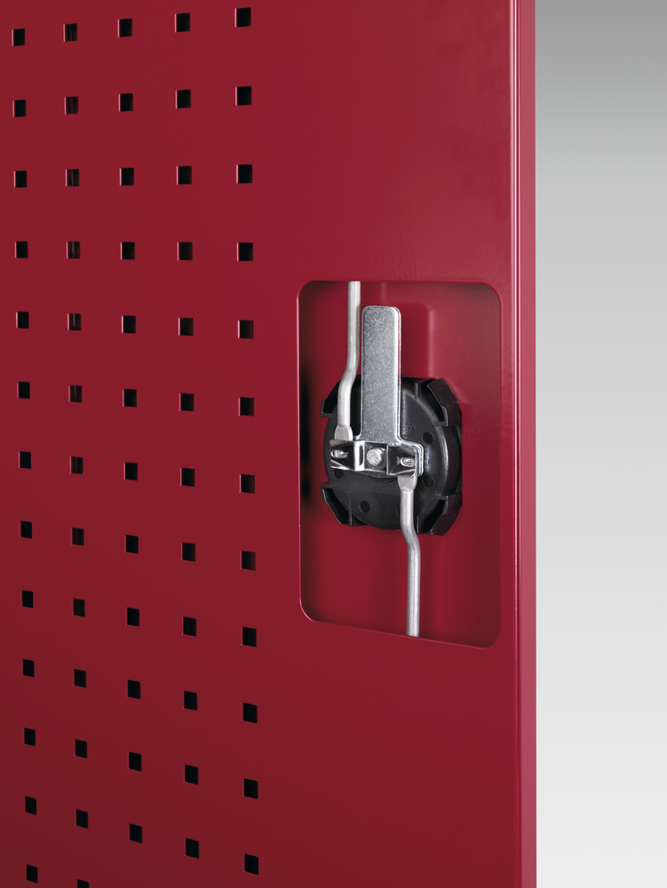Armoire Kfz Gestion de Fluides Cubio – Porte Perfo – 525x650x900 mm 3