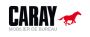 Logo CARAY (SA)